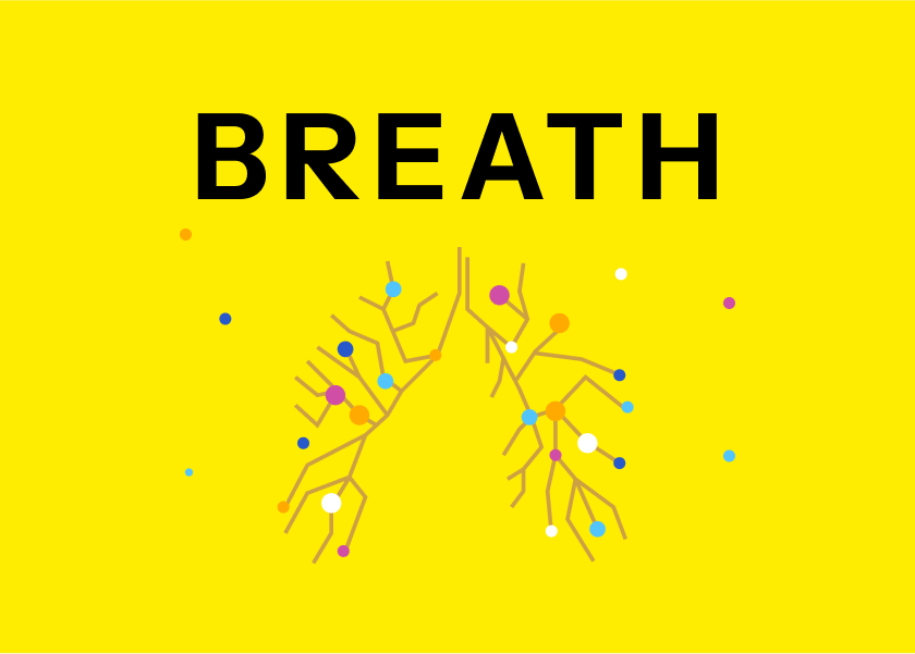 Breath by James Nestor - Summary