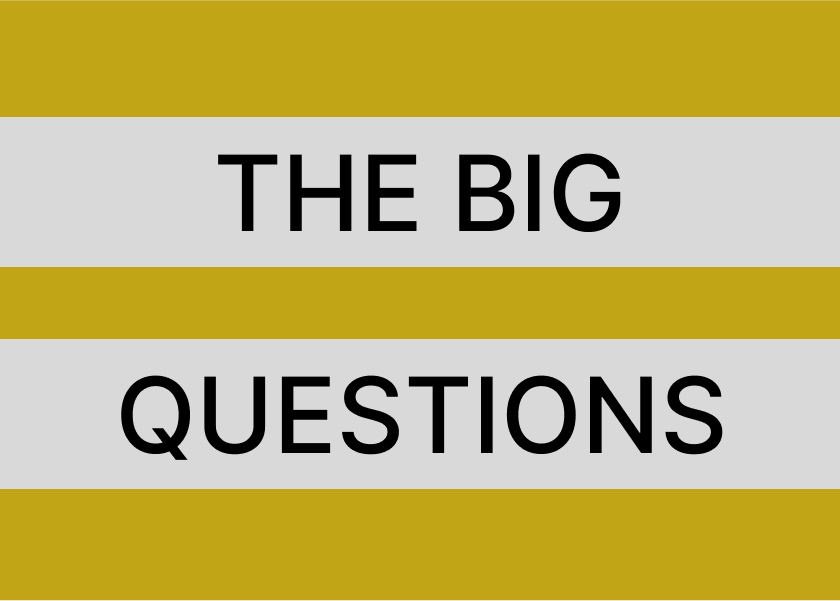 The Big Questions by Lou Marinoff - Summary
